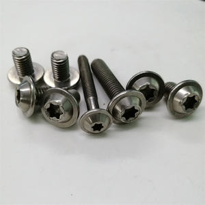Tornillo Torx de Cabeza Plana ISO 14583 con Arandela Integrada para Componentes Automotrices, Pernos de Seguridad Torx de Acero Inoxidable Personalizados - Product Image 6