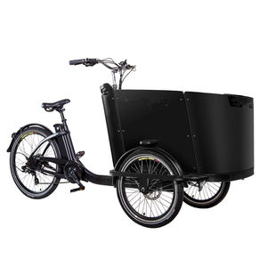 Boîte de sièges avant pour enfants, avec pédales, à 3 roues, moteur dans la roue arrière, pour vélo électrique, assistance électrique - Product Image 2