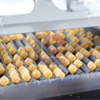 Capsule molle de gel de pot en plastique automatique et compteur gommeux comptant et machine de conditionnement