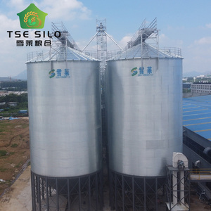 Silos à maïs TSE de bonne qualité, certifiés CE ISO, TCZK 450T, en acier galvanisé à fond trémie, revêtement 275-600g/m2, longue durée de vie - Product Image 6