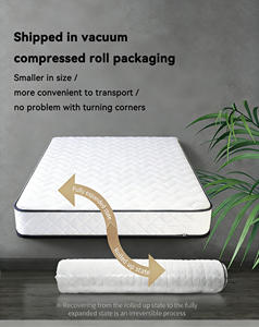 Materasso a molle comfort compresso, supporto ottimale, protezione della colonna vertebrale, letto a carico uniforme per ville e hotel (ingrosso) - Product Image 5