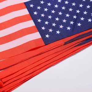 Bandera a cuadros promocional, banderines <span class=keywords><strong>de</strong></span> EE. UU., Juego <span class=keywords><strong>de</strong></span> 20 banderas <span class=keywords><strong>de</strong></span> países latinoamericanos personalizadas - Product Image 4
