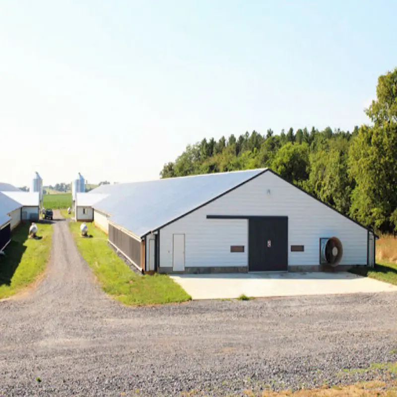 Kanada'da prefabrik katlanır depolama barakası inşaat emlak keçi yetiştiriciliği, tavuk çiftlikleri bina çelik yapıları