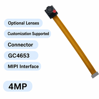 Module caméra GC4653 4MP 2K, conception carte à carte, connecteur BTB, interface MIPI pour vision IA, maison intelligente, OEM ODM