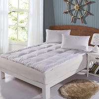 Luxus Soft Winter Hypo allergen Wasch bare Ente Feder bett Matratze Topper Für Hotel