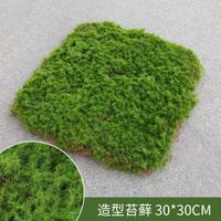 Mousse artificielle en soie Evergreen EG-A213 pour terrarium, coussin écologique 20x20cm, mousse verte pour pot, Thanksgiving, Halloween