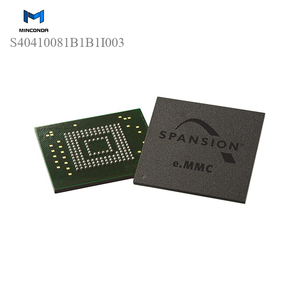 (Memory) <strong>S40410081B1B1I003</strong> - Product Image 1