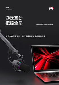 192KHZ24Bit <span class=keywords><strong>microfono</strong></span> dinamico RGB luce led PC <span class=keywords><strong>microfono</strong></span> con braccio braccio Stand RGB illuminazione Mute pulsante <span class=keywords><strong>cuffie</strong></span> <span class=keywords><strong>Jack</strong></span> misura per Vlog - Product Image 5