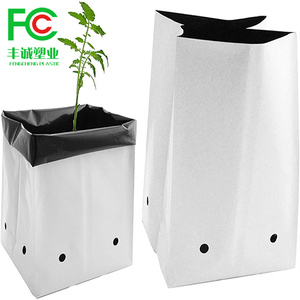 Sacchetti di plastica per la scuola materna pianta coltiva la piantina con fori traspiranti PE coltiva le borse borsa per la coltivazione dell'alberello - Product Image 1