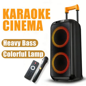 Altavoz Portátil Doble de 8 Pulgadas para Fiestas con Carrito, Micrófono Inalámbrico, Luces LED, Bluetooth, FM, USB Recargable - Product Image 2
