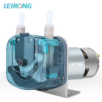 LEIRONG BP2000ml Oem Tête de pompe de qualité alimentaire Dosage de liquide Distributeur 24v Tuyau Pompe péristaltique Machine à boissons Petite machine péristaltique