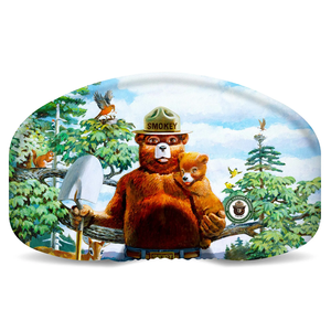 Housse de protection pour lunettes de ski professionnelles American BS, motif dessin animé ours/hibou/dinosaure - Product Image 4