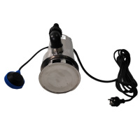 Non. Pompe à eau de jardin submersible en acier inoxydable 1 pompe à eau de puisard pour eaux usées
