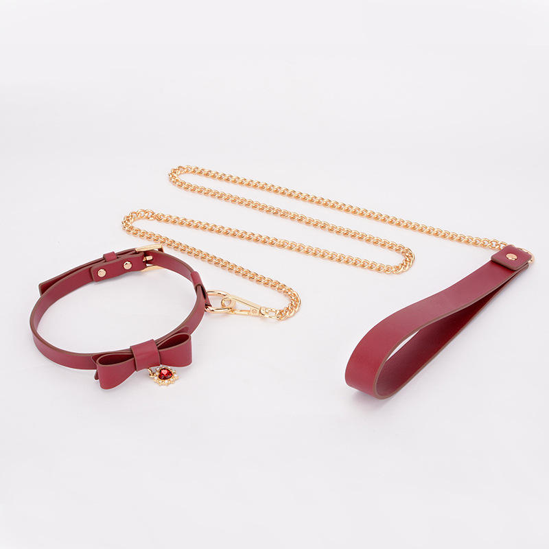 ปลอกคอสีแดง + สายจูง