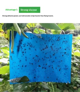 Trampa de pegamento agrícola resistente a los rayos UV, tabla adhesiva impermeable de alta viscosidad para la protección de huertos y jardines - Product Image 3