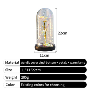 Hadiah Hari Valentine kustom kubah mawar bunga kering lampu Wanita plastik hadiah mawar dengan kotak - Product Image 2