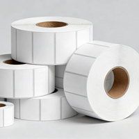 Rouleaux d'étiquettes thermiques vierges personnalisés, étiquettes thermiques autocollantes imprimées pour l'organisation du stockage