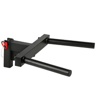DIP BAR Bras Flexion et Extension Formation Squat Rack Barres Parallèles Équipement de Fitness Fonctionnel CF Rack Applicable