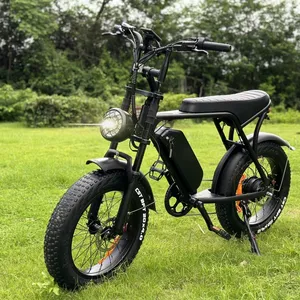 OUXI V8 Electric Bike 500W 48V 10Ah Mountain E-Bike 20'' Fat Tire Ebike for adults with front carrier