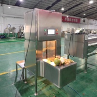 DQ Guangdong Industriële Intelligente Kokosnoot Schilmachine PLC-gestuurd Commercieel Automatisch Hoge Efficiëntie
