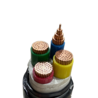 Cable de Aluminio de 2 Núcleos WDZC-YJY de 0.6/1kV con Aislamiento XLPE y Cubierta de PVC, Libre de Halógenos, Clasificación IP68, para Cableado Interior de Edificios Altos