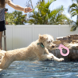 Fabricant de jouets flottants en gros pour chien TPR à mâcher mignon dans un emballage de sac - Product Image 4