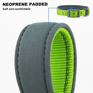 Fabricante al por mayor <span class=keywords><strong>12</strong></span> colores collares reflectantes para mascotas <span class=keywords><strong>collar</strong></span> de perro acolchado de neopreno ancho con hebilla de cinturón de metal duradero - Product Image 6