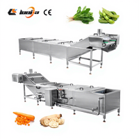 Volledig automatische fruit- en groenteblancheermachine, pinda-blancher, champignon-blancher
