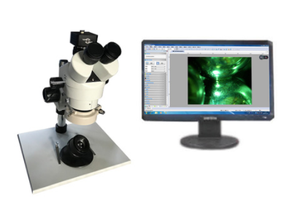 Máquina de Prueba de Fricción de Cuatro Bolas Controlada por Microcomputadora ASTM D4172 ASTM D5183, Tribómetro de Cuatro Bolas, Probador de Fricción de Cuatro Bolas - Product Image 3