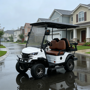 Carrito de Golf Eléctrico para Caza, Vehículo Eléctrico con Motor de Alta Potencia, Todoterreno, Certificado CE para Carreteras No Públicas - Product Image 1
