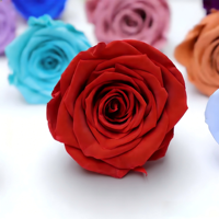Bunga Mawar Awet Grade B 5-6cm Langsung dari Pabrik 6 Buah Bunga Abadi Hadiah Hari Ibu Natal Wisuda Floral