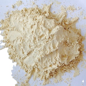 Polvo de jengibre - Product Image 1