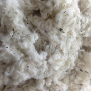 Grade a and B Cotton Dropping <b>Waste</b> Lickerin From Vietnam for Spinning Yarn-for <b>Textile</b> Use Supplied by Ms. Claire - Product Image 1