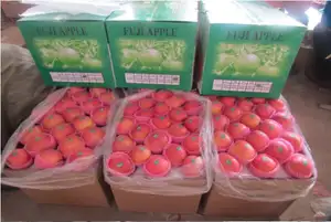 2023 Nieuwe Verse Fruitselectie Rode Fuji En Koninklijke Gala-Appels Concurrerende Exportprijzen In China