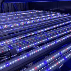 Nhà kính tùy chỉnh hiệu quả cao quang phổ đầy đủ cây Rau Trái Cây thảo mộc tăng trưởng T8 không thấm nước dẫn phát triển ánh sáng Ống - Product Image 4