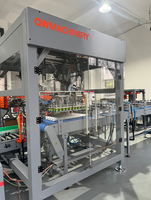 Ligne d'emballage entièrement automatique personnalisée pour les coupes de crème glacée en plastique, équipement d'emballage de cartons pour coupes de crème glacée