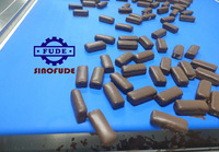 Machine d'enrobage au chocolat de qualité alimentaire |   Rideau supérieur et revêtement inférieur intégrés