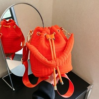 Nouvelles Tendances : Sacs Seau Classiques Colorés, Petits Sacs à Main Tendance pour Femmes, Sacs à Bandoulière en Velours pour Dames, Sacs à Main et Sacs à Main 2026
