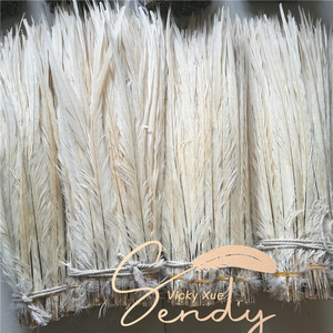 Decolored Trắng ringneck lông Vòng cổ chim trĩ đuôi lông cho lễ hội trang phục - Product Image 2