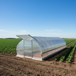 Invernadero Tipo Túnel 12 x 40 Pies, Lámina Transparente de EVA de 6 Mil, Estructura Resistente al Frío, Lados Enrollables con Manivela, Modelo Agrícola D0100X3AB5T - Product Image 2