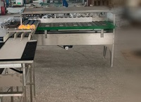 Niveleuse d'oeufs entièrement automatique à cinq niveaux Machine de pesage d'oeufs de poule d'oie de canard en acier inoxydable 304 Machine de triage d'oeufs