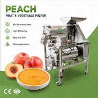Machine automatique de pulpage et de raffinage de pommes et mangues pour la production de purée lisse, équipement de production de fruits 1500 kg/h