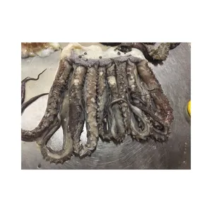 Good Quality Export Thailand Frozen Giant Squid Tentacles