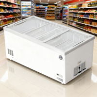 Offre Spéciale d'usine litre différent maison mini réfrigérateur d'aliments frais réfrigérateur congélateur maison réfrigérateurs hôtel mini réfrigérateur