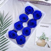 Eeuwige Roos Natuurlijk Ge conserveerde Bloem Materiaal 8 stuks in doos Verse Rozen Handgemaakt DIY Cadeau voor Kerstmis Moederdag Valentijnsdag