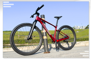 Jeu de roues en carbone pour VTT 29 avec jante en carbone de 40 mm de largeur extérieure pour roues de VTT - Product Image 5