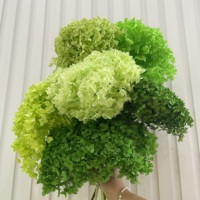 Vente Directe Usine Fleurs Séchées Stabilisées de Qualité Supérieure Anna Hydrangea pour Décoration de Mariage
