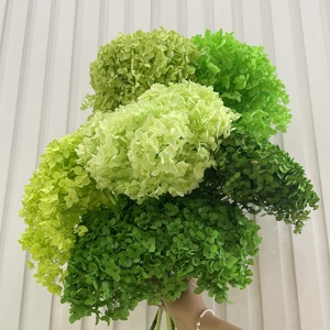Vendita Diretta dalla Fabbrica: Decorazioni Nuziali con Ortensie Anna Essiccate e Conservate di Alta Qualità - Product Image 3