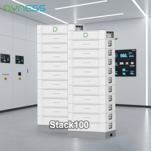 有竞争力的价格 Dyness STACK100 51.2V 100Ah 磷酸铁锂电池 太阳能存储电池 现货供应 - Product Image 1