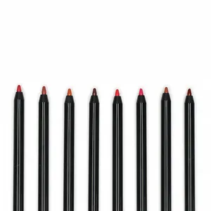 Logo personnalisé mutil-couleur maquillage rouge à lèvres stylo velours mat Lip Liners crayons ensembles